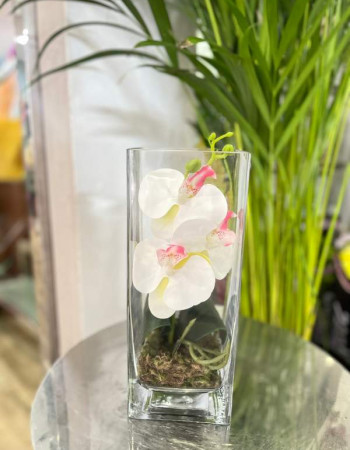 Orchidé vase