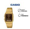 Casio – Vintage au style classique dorée et fond marron – Double montres avec bracelet en acier inoxydable – AQ-230GA-5AMQY