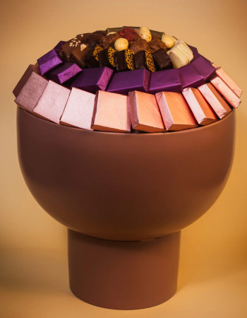 Coupe Morganite PG- Chocolat