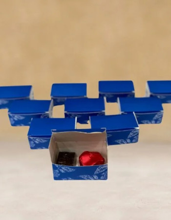 10 Boites 2 pcs chocolats