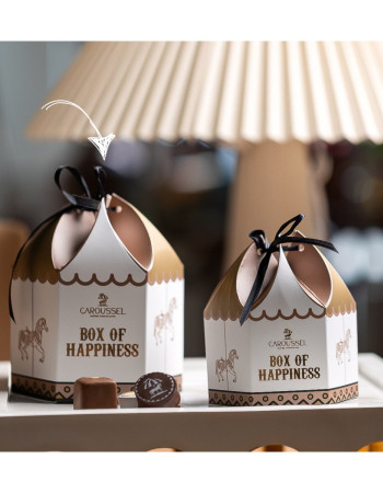 Ballotin chocolat de 250 g