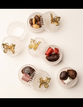 Boite papillon chocolat