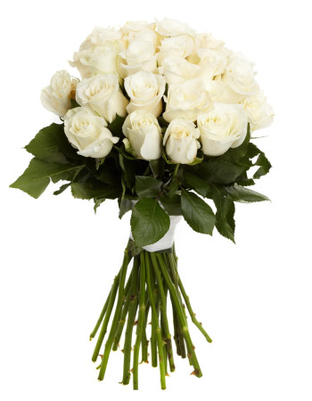 Harmonie Blanche – 25 Roses