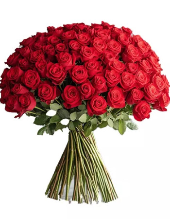 Bouquet 101 Roses Rouges
