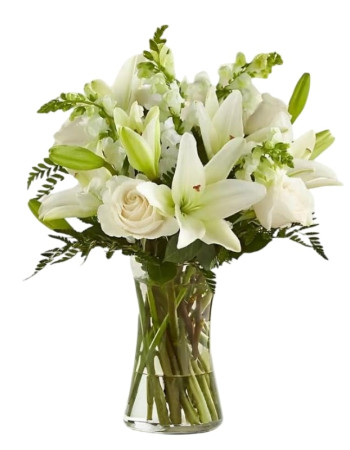 Frâicheur – Rêve Blanc