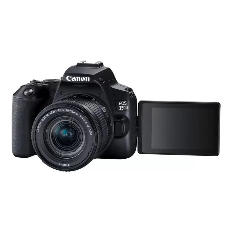Canon EOS 250D + Objectif EF-S 18-55mm IS STM Canon EOS 250D + Objectif EF-S 18-55mm IS STM
