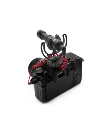 NIKON Z50 & 16-50mm + Rode VideoMic + Trépied SmallRig + Télécommande ML-l7 NIKON Z50 & 16-50mm + Rode VideoMic + Trépied SmallRig + Télécommande ML-l7