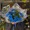 Bouquet de roses Bleu