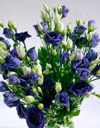Bouquet Lisianthus BLUE