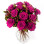 Bouquet Roses Fuchsia