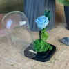 Cloche Éternelle 