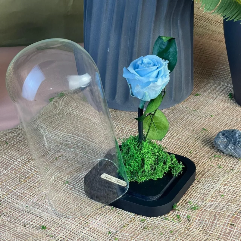Cloche Éternelle 