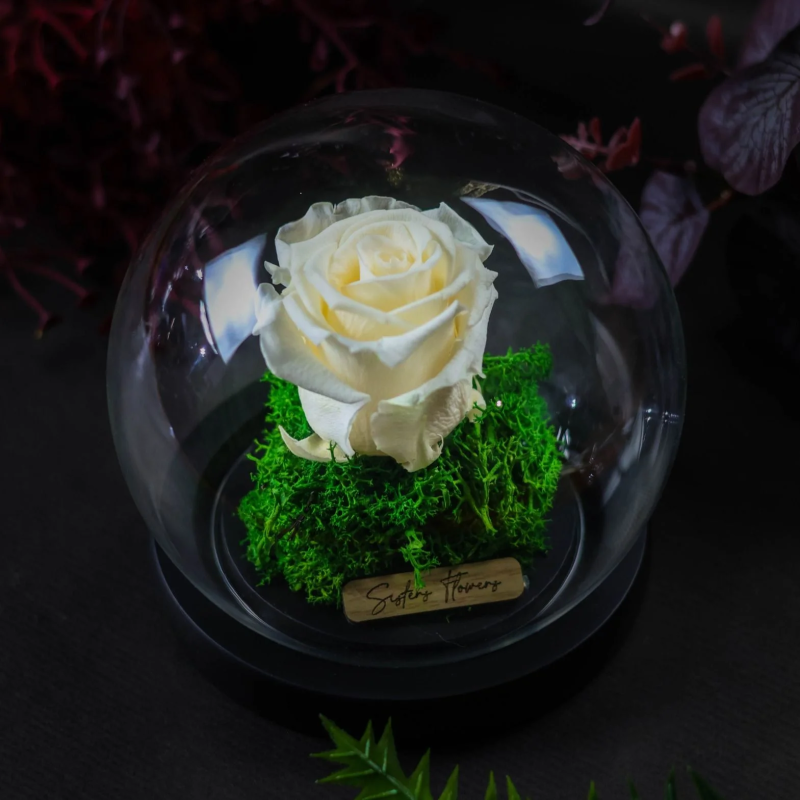 Cloche dôme 