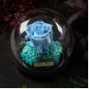 Cloche dôme 