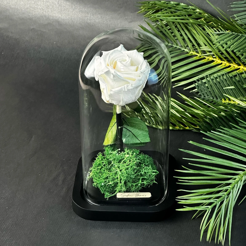Cloche Éternelle – Rose Champagne