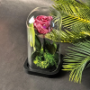 Cloche Éternelle 