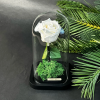 Cloche Éternelle 