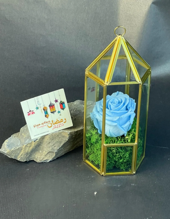 Rose Eternelle sous Fanous