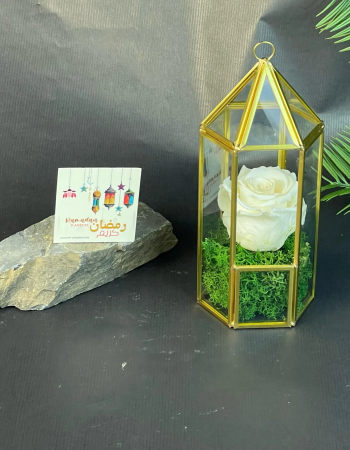 Rose Eternelle sous Fanous