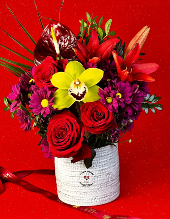 Love In Exotic Vibes