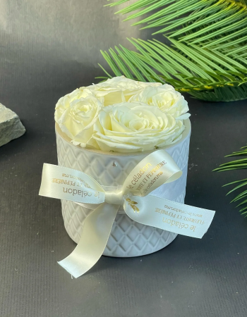 Lovely porcelaine roses