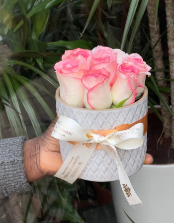 Lovely porcelaine roses