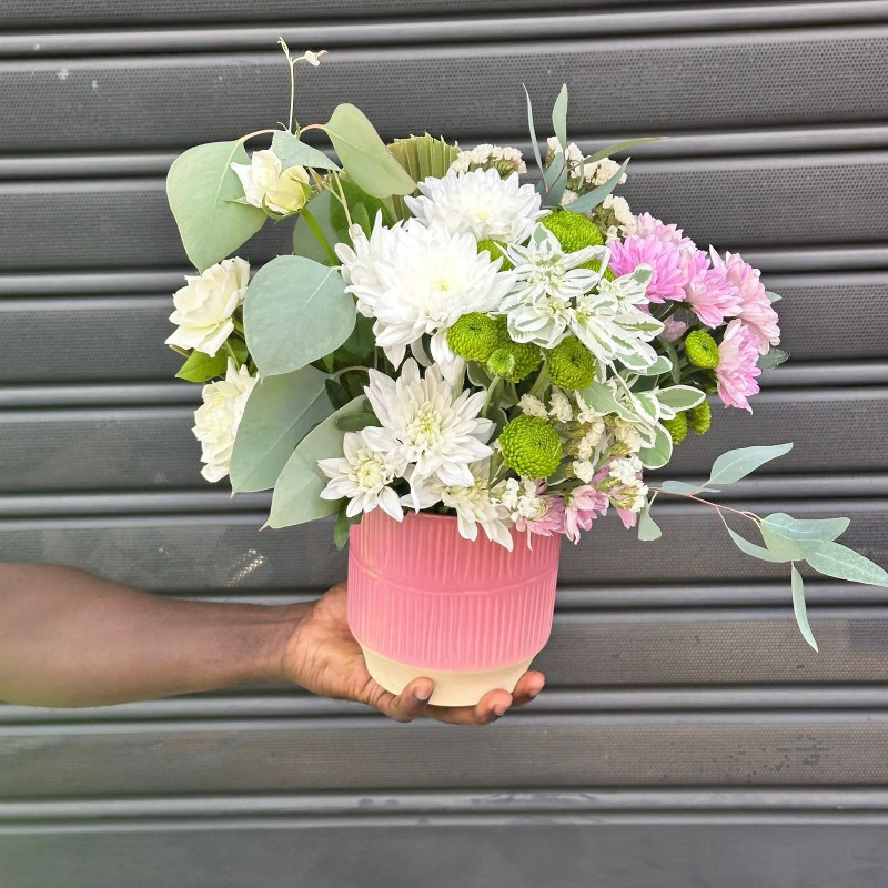 The Myriade Flowers
