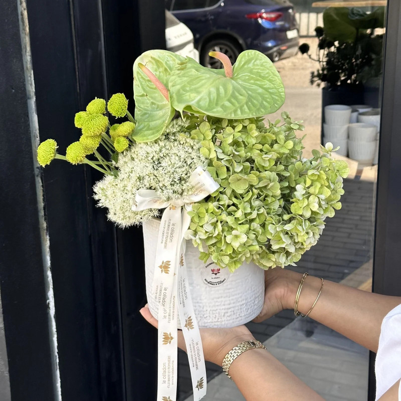 Le Baron Florale
