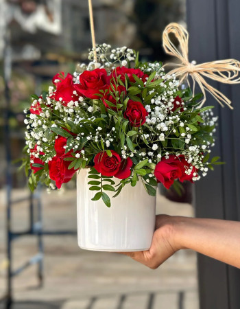 The Red arrangement of Love