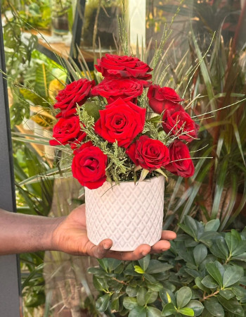 Lovely porcelaine Red