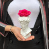 Napoléan Cadeau 