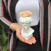 Napoléan Cadeau 