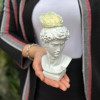 Napoléan Cadeau 
