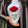 Napoléan Cadeau 
