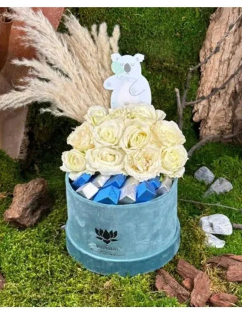 Box naissance garçon