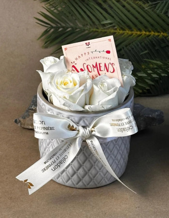 Lovely Porcelaine 8 mars