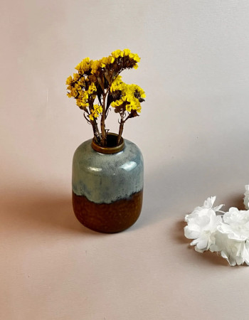 Le Potiron Séchée yellow