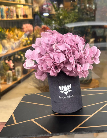 Le céladon chapeau  hortensia