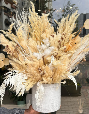 Composition Nude  séchée