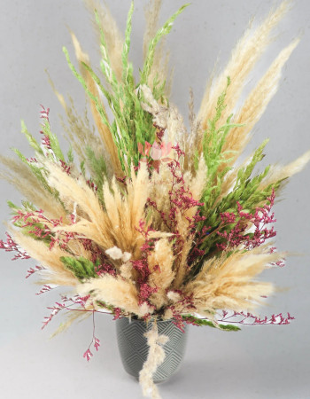 Le séchée au centre