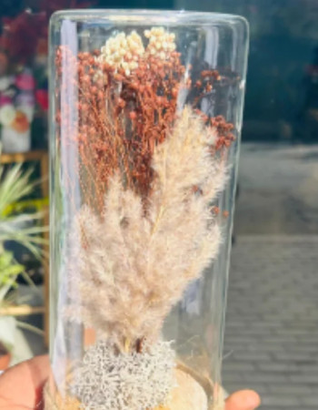 Deal Fleurs Séchée nud