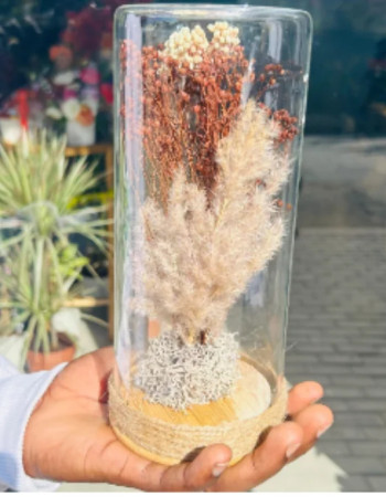 Deal Fleurs Séchée nud