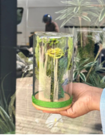 Deal Fleurs Séchée green