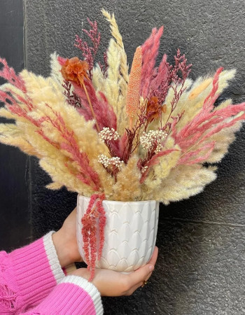 Composition séchée rose nude