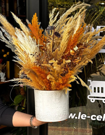 The Golden Fish Séchée