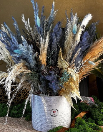 Nuit Étoilée Séchée