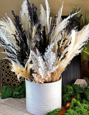 Contrastes Élégants