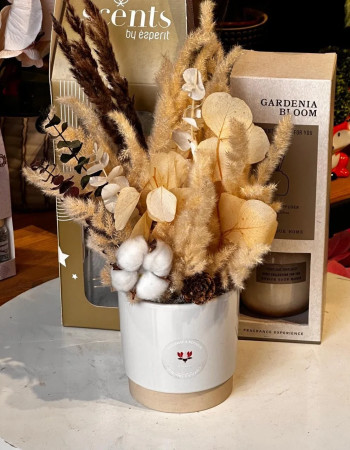 Composition Séchée au beige