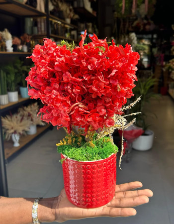 Le coeur rouge seche