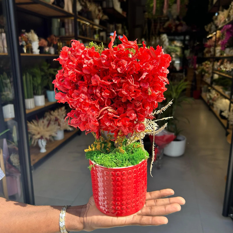 Le coeur rouge seche